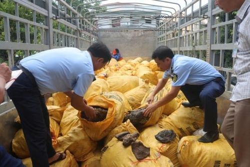 Phát hiện 11 tấn mỡ động vật bẩn khi đang mang đi tiêu thụ