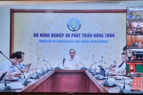 Tập trung chuẩn bị thực hiện Dự án 'Phát triển thủy sản bền vững'