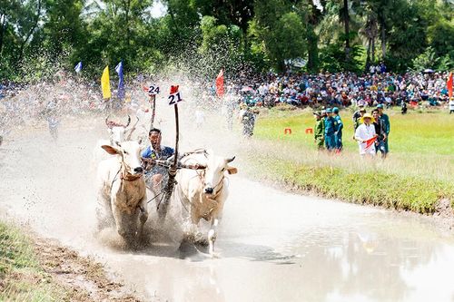 Phát huy giá trị thể thao truyền thống dân tộc