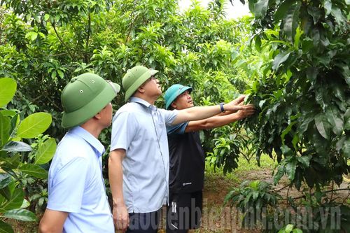 Phó Chủ tịch UBND tỉnh Lò Văn Tiến kiểm tra tình hình phát triển kinh tế - xã hội tại huyện Mường Ảng