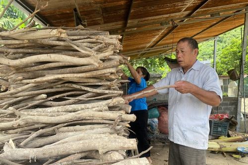 Vực dậy sau 'vấp ngã'