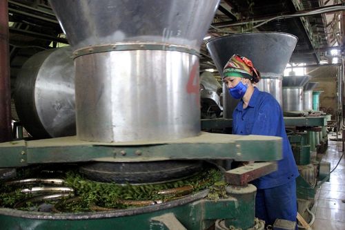 Thúc đẩy phát triển công nghiệp chế biến