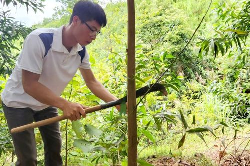 Lâm Ca: Người dân vươn lên từ rừng