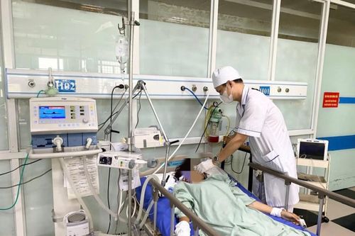 Bị ong bắp cày đốt, một thiếu nữ nguy kịch