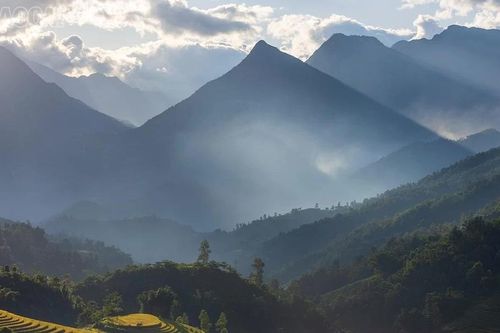 Về Nậm Cang, Suối Thầu ngắm ruộng bậc thang đẹp như tranh