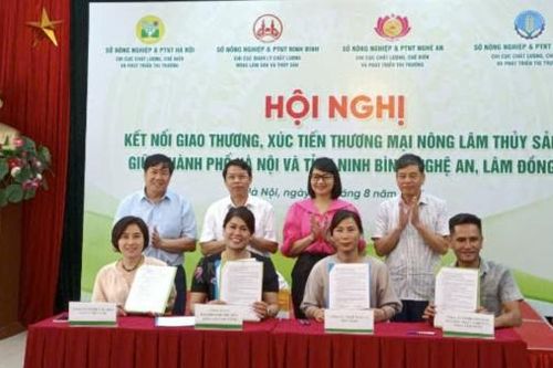 Lâm Đồng kết nối giao thương, xúc tiến thương mại với TP Hà Nội cùng các tỉnh Ninh Bình và Nghệ An