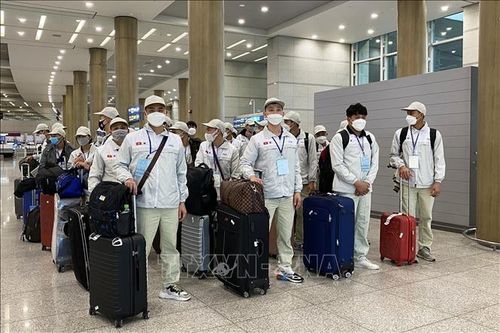 Lao động Việt Nam tham gia chương trình EPS của Hàn Quốc được đánh giá cao