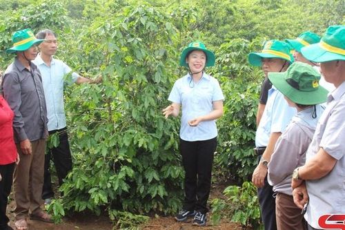 Chuyển giao kiến thức, khoa học kỹ thuật cho nông dân
