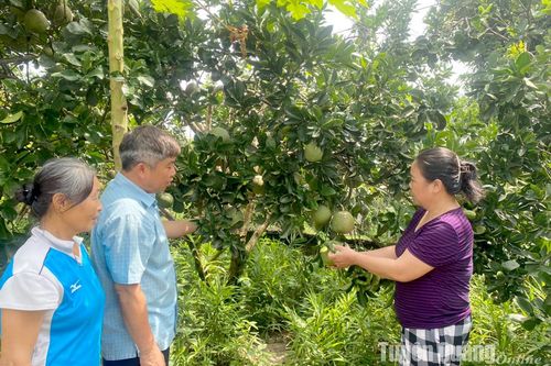 Cầu nối đưa nghị quyết đến với Nhân dân
