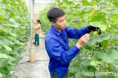 Thiếu hụt lao động nông nghiệp