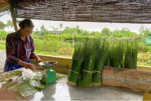 Rau hữu cơ Kim Long
