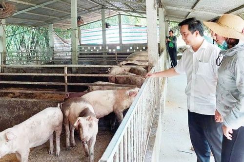 Hướng đến nền nông nghiệp xanh, sạch, bền vững