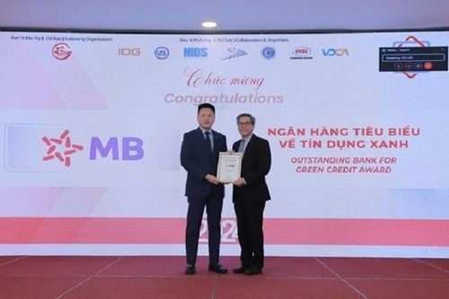 Ngân hàng MB được vinh danh 'Ngân hàng Việt Nam tiêu biểu 2024'
