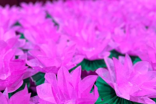 19 giờ hôm nay (14-8) sẽ diễn ra Lễ phóng liên đăng trong Pháp hội Vu lan tại Việt Nam Quốc Tự