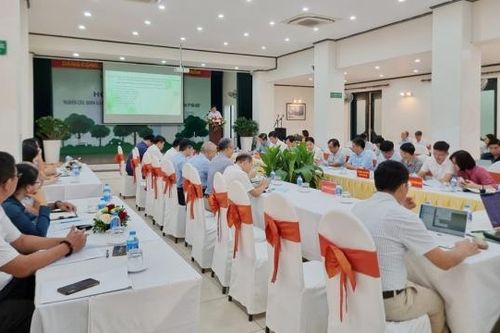 Hà Nội: Cần quy hoạch tổng thể hệ thống cây xanh trên địa bàn Thành phố