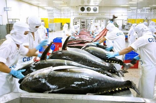 Còn nhiều cơ hội gia tăng xuất khẩu sản phẩm cá ngừ sang Anh