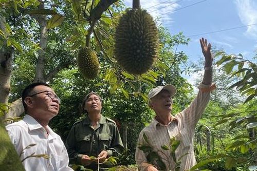 HTX trước mối lo đầu ra cho nông sản