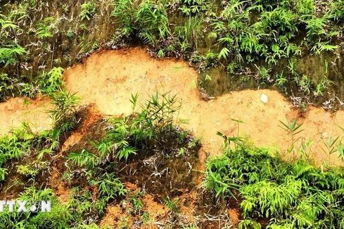 Điện Biên xuất hiện cung trượt lớn nguy hiểm tại huyện Tuần Giáo