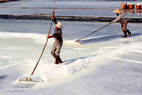TP. Hồ Chí Minh đặt mục tiêu chuyển đổi số hướng tới nông thôn mới thông minh