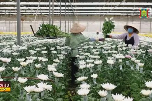 Đà Lạt được tìm kiếm nhiều nhất dịp 2/9