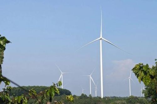 Loạt sai phạm của 5 nhà máy điện gió Gia Lai