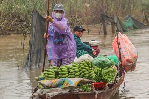 Nước lũ dâng cao, nông dân bãi giữa sông Hồng chèo thuyền mang nông sản đi bán