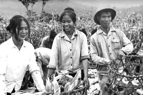 Bài tham dự Cuộc thi viết 'Kỷ niệm 70 năm Giải phóng Thủ đô: Ký ức tự hào'Yêu Hà Nội từ cao nguyên xanh (kỳ cuối)