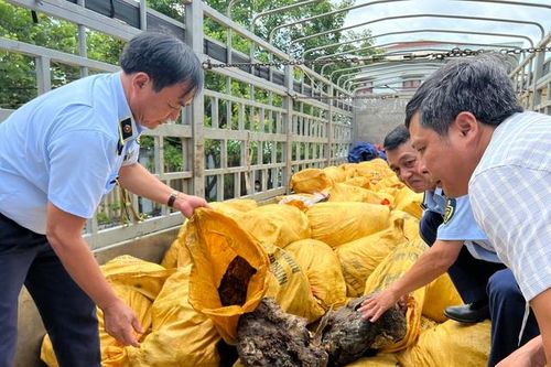 Quảng Bình: Thu giữ gần 11 tấn mỡ động vật bốc mùi hôi thối trên đường tiêu thụ