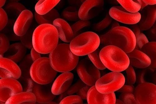 Công nghệ Crispr giúp chỉnh sửa các gen bị lỗi bệnh nhân tan máu bẩm sinh