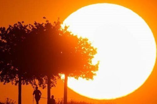 Thế giới đang hứng chịu 'dịch nắng nóng cực đoan'