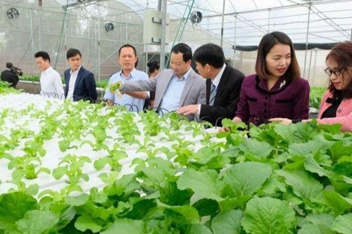Hà Nội công nhận tám xã đạt chuẩn nông thôn mới kiểu mẫu