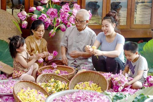 Nghề ướp trà sen Quảng An trở thành Di sản Văn hóa phi vật thể quốc gia