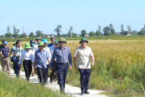 Thêm 2 huyện của Quảng Trị đạt chuẩn nông thôn mới
