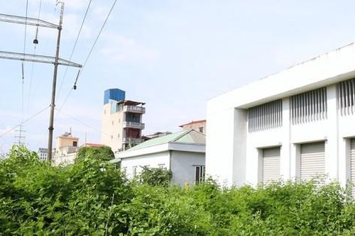 Chợ tiền tỷ bỏ hoang, cây mọc thành 'rừng' ở Hà Nội