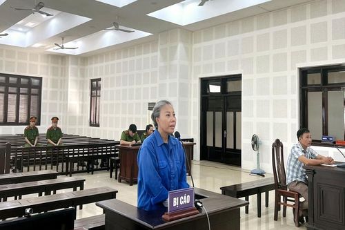 Người phụ nữ lừa bán đất chiếm đoạt tiền tỉ, lãnh án 9 năm tù