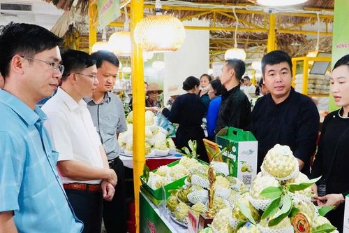 Hà Nội có 'phiên chợ' với hơn 120 gian hàng bày bán nông sản, đặc sản vùng miền