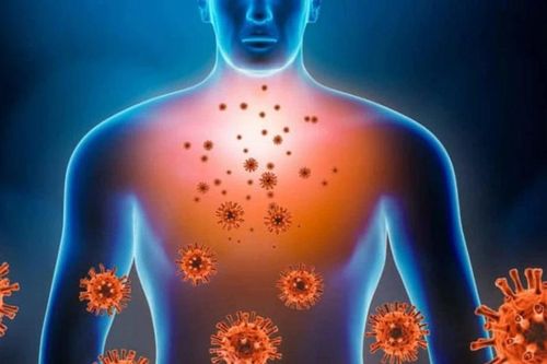 Tìm ra nguyên nhân suy giảm chức năng hệ miễn dịch