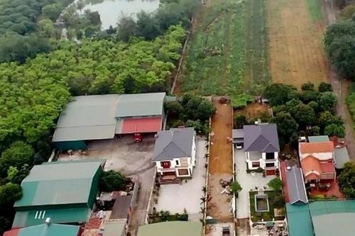 Hải Dương: Xử lý dứt điểm công trình vi phạm trên đất lâm nghiệp trước 31/12