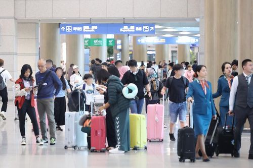 Làn sóng 'di cư ngược' gia tăng ở Hàn Quốc