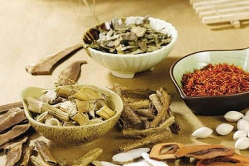 Y học cổ truyền Việt Nam tỏa sáng tại Hội thảo quốc tế ở Italy