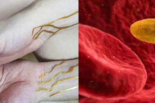Nhóm máu quý hiếm nhất hành tinh: Cả thế giới chưa tới 50 người sở hữu,