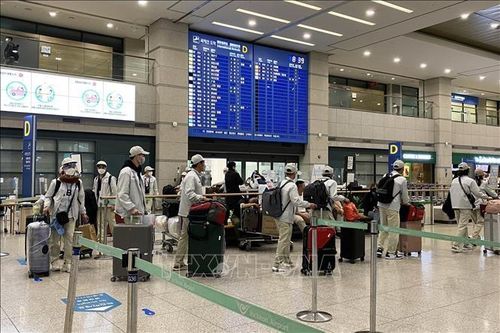 Thêm nhiều cơ hội cho lao động nước ngoài ở Hàn Quốc