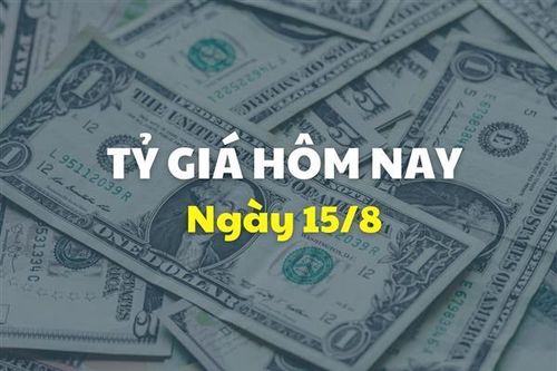 Tỷ giá hôm nay 15/8: Giá USD đồng loạt giảm sâu
