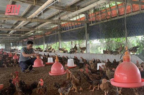Tạo điều kiện giúp hội viên nông dân tiếp cận vốn vay
