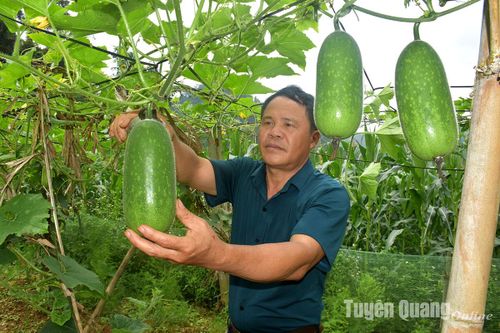 Lão nông làm nông nghiệp sạch