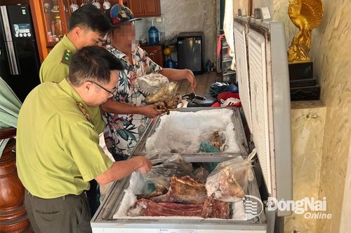 Xử lý nghiêm hành vi săn bắt, buôn bán động vật rừng