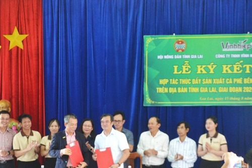 Hội Nông dân tỉnh Gia Lai-Công ty TNHH Vĩnh Hiệp ký kết hợp tác thúc đẩy sản xuất cà phê bền vững