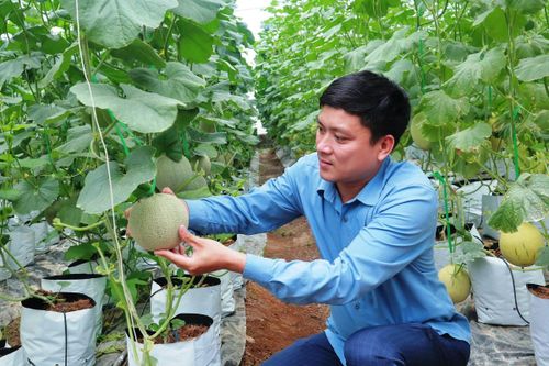 Phát triển nông nghiệp ứng dụng công nghệ cao: Nỗ lực về đích