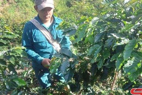 Đồng hành với thanh niên khởi nghiệp