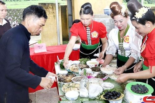 Hội thi hái trám và ẩm thực Tết xíp xí của người Thái đen xã Mường Giôn